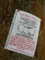 DSCN2296.JPG